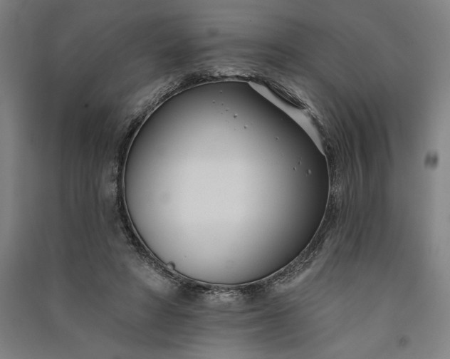 X0000091070402200708201414