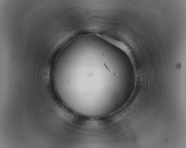 X0000091070404200708201414