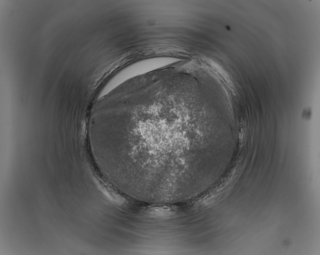 X0000091070405200708201414