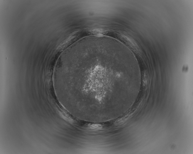 X0000091070409200708201414