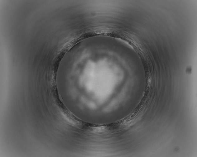 X0000091070411200708201414