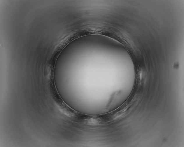 X0000091070412200708201414