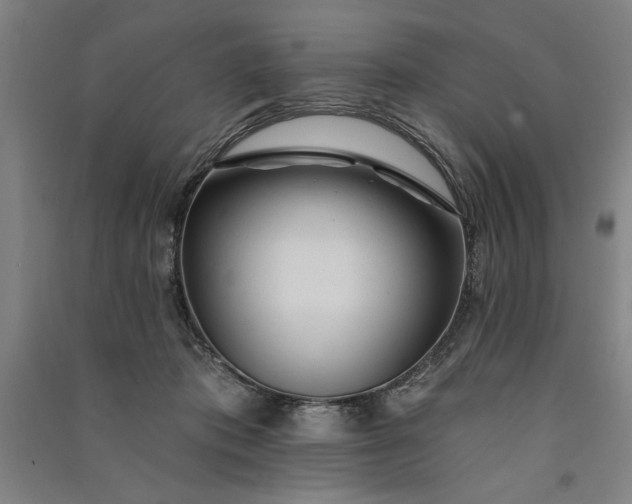 X0000091070413200708201414