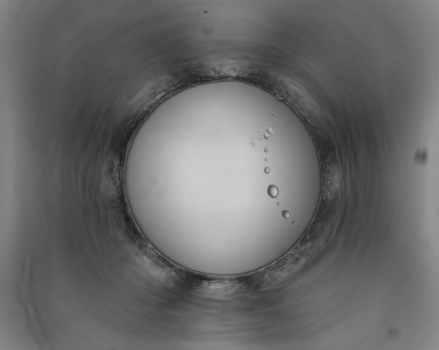 X0000091070414200708201414