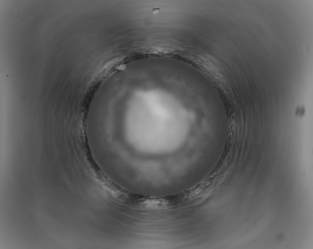 X0000091070415200708201414