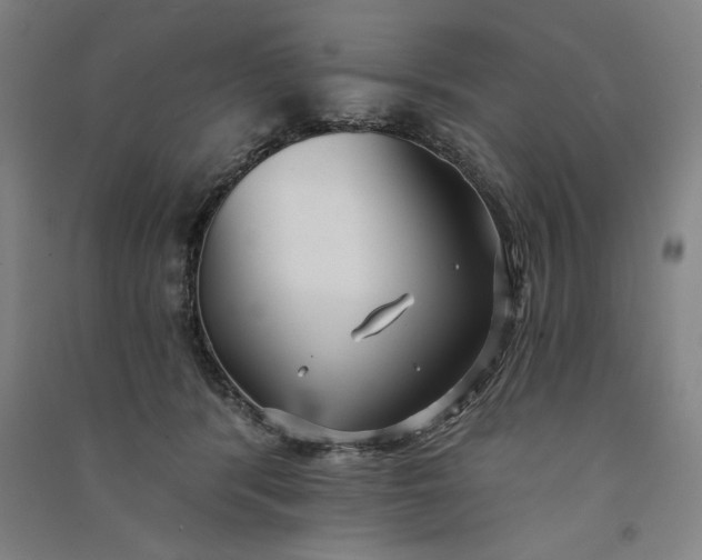 X0000091070416200708201414