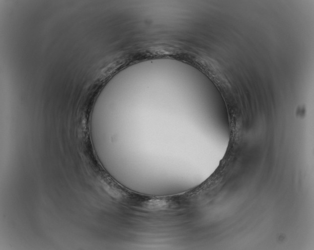 X0000091070418200708201414