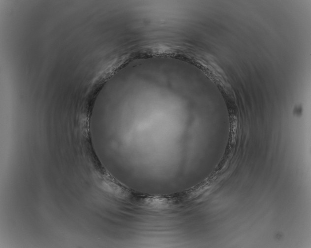 X0000091070419200708201414