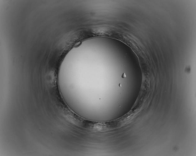 X0000091070420200708201414