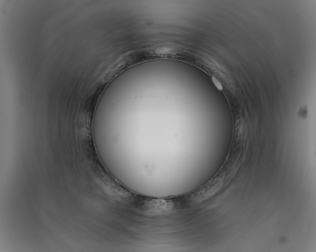 X0000091070421200708201414