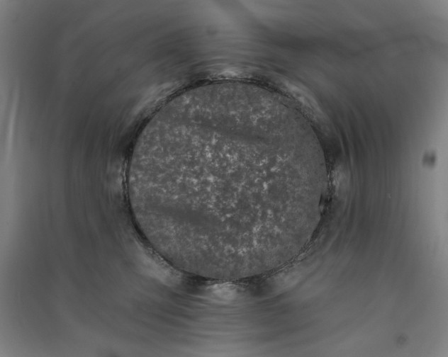 X0000091070423200708201414