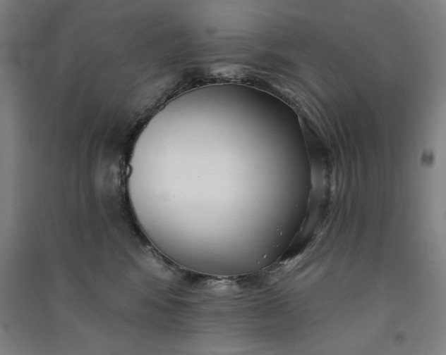 X0000091070424200708201414