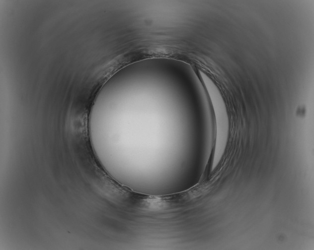 X0000091070425200708201414