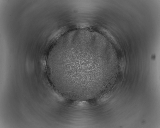 X0000091070427200708201414