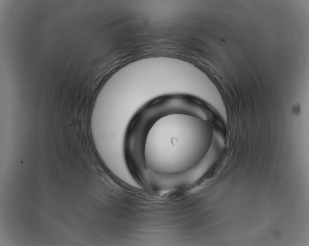 X0000091070428200708201414