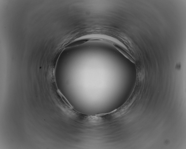 X0000091070429200708201414