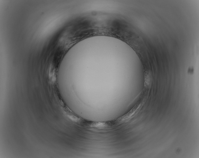 X0000091070431200708201414