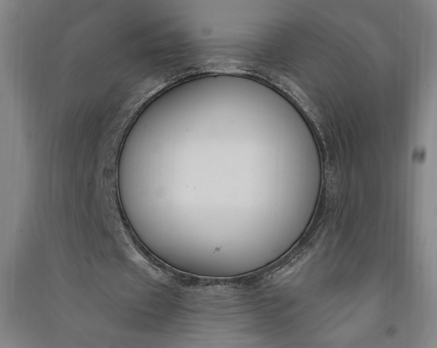 X0000091070433200708201413