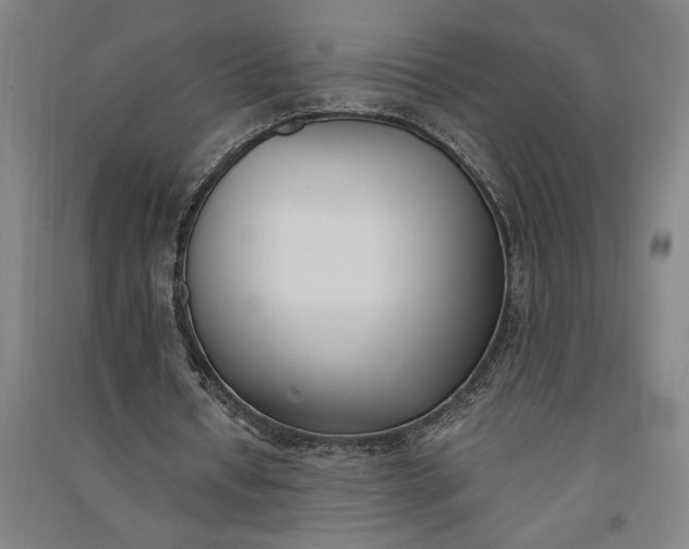 X0000091070434200708201413