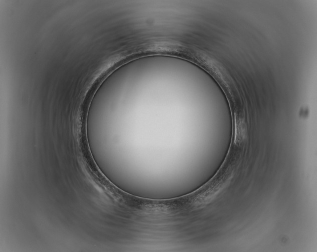 X0000091070435200708201413