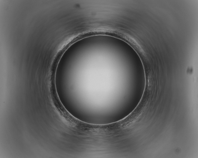 X0000091070436200708201413