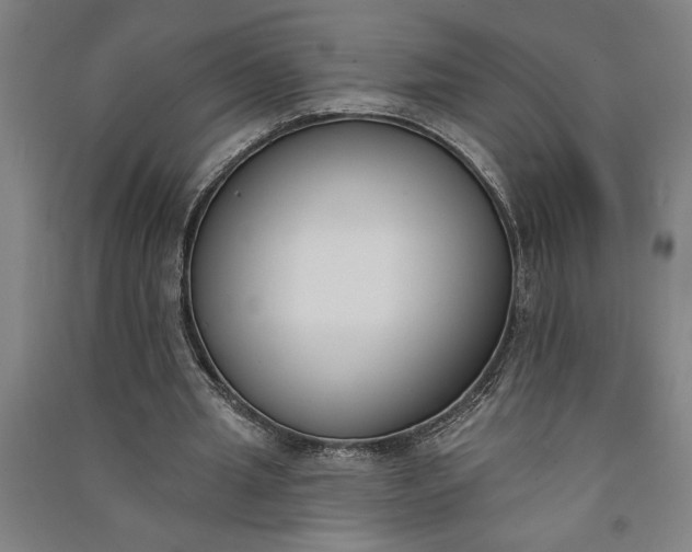 X0000091070437200708201413