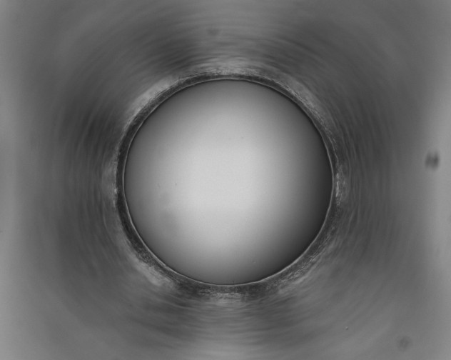 X0000091070438200708201413