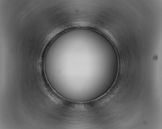 X0000091070439200708201413