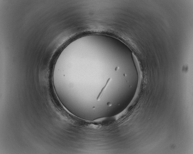 X0000091070440200708201413