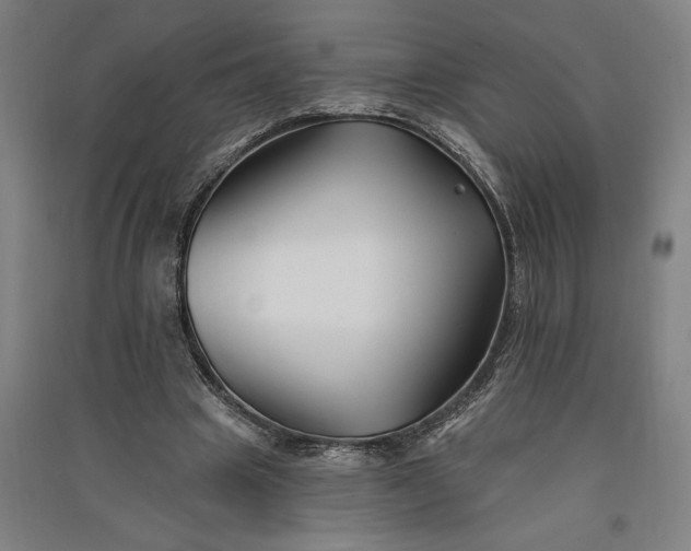 X0000091070441200708201413