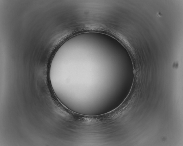 X0000091070442200708201413