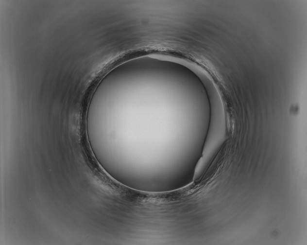 X0000091070444200708201413