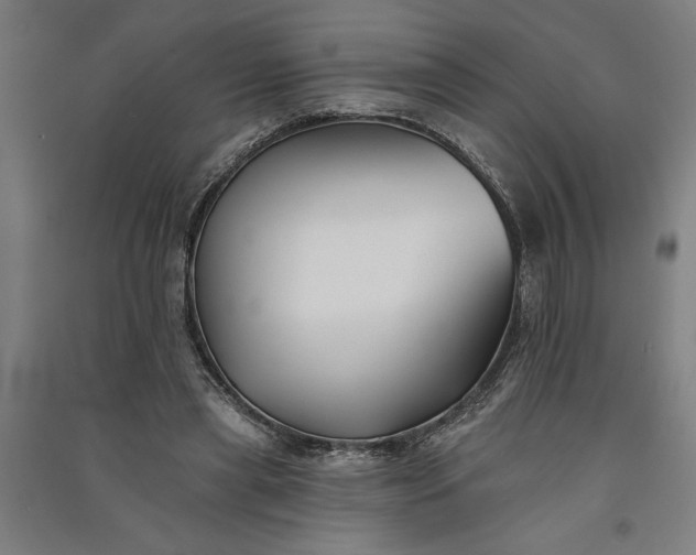 X0000091070445200708201413