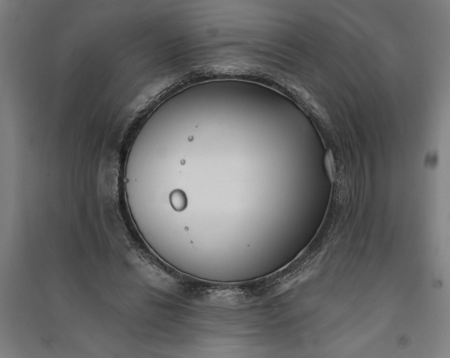 X0000091070446200708201413