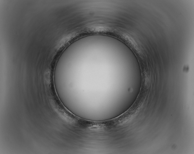 X0000091070447200708201413