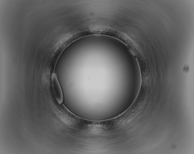 X0000091070448200708201413