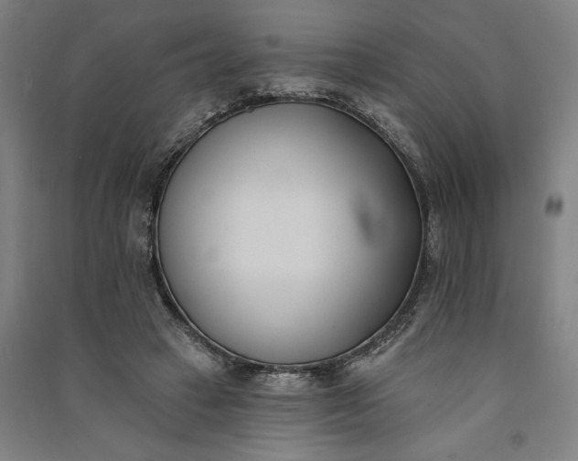 X0000091070449200708201413