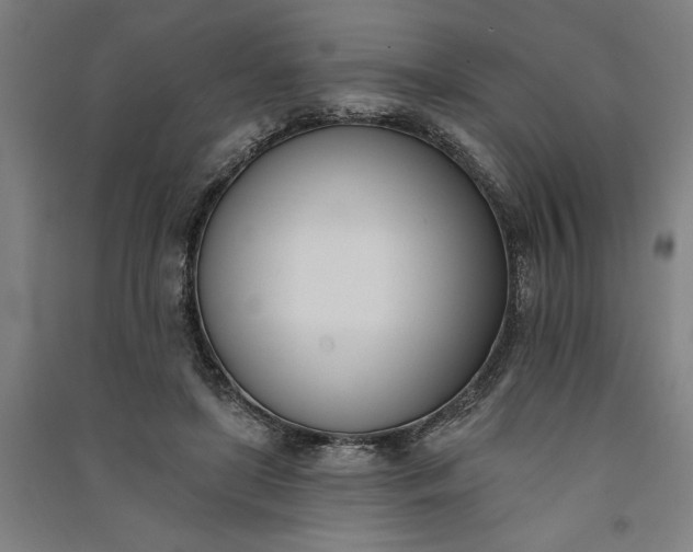 X0000091070451200708201413