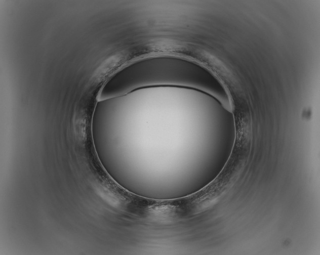 X0000091070452200708201413