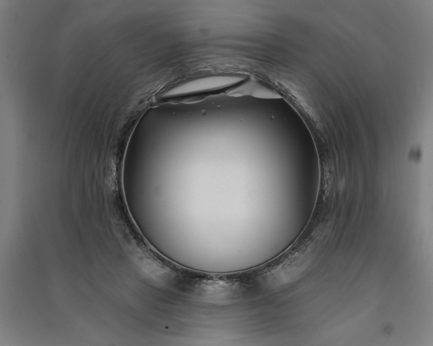 X0000091070453200708201413