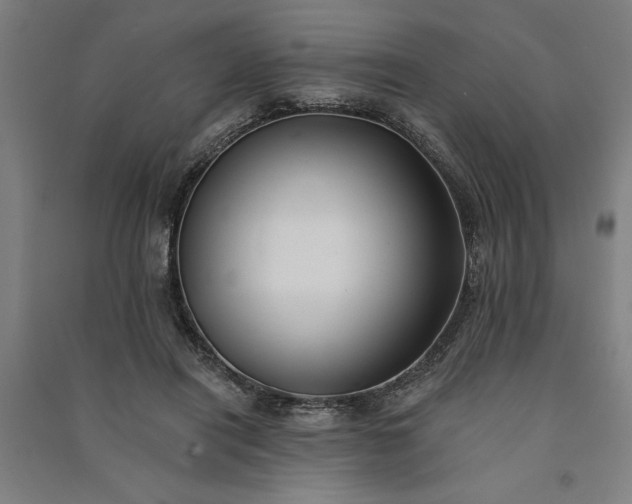 X0000091070454200708201413