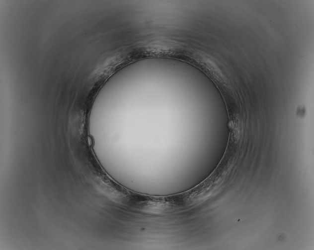 X0000091070458200708201413