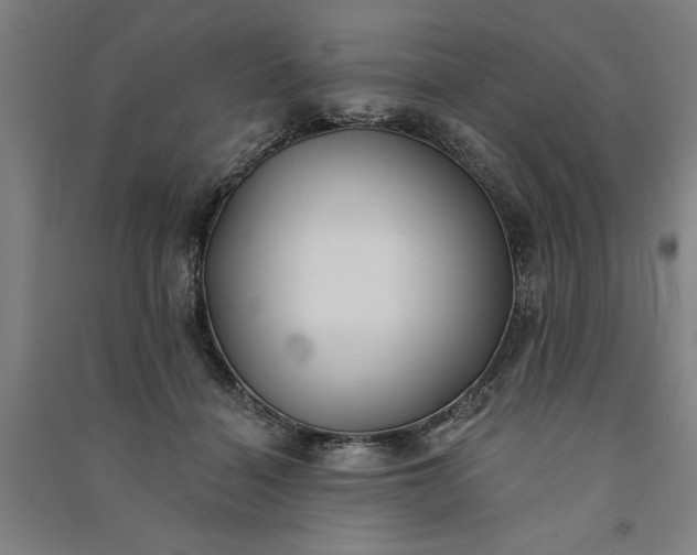 X0000091070460200708201413