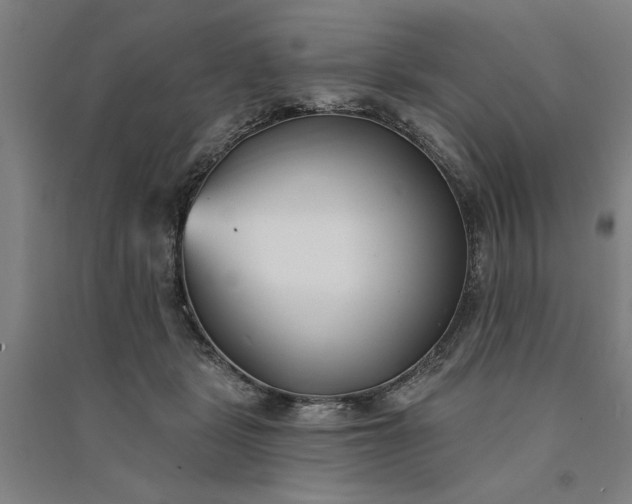 X0000091070461200708201413