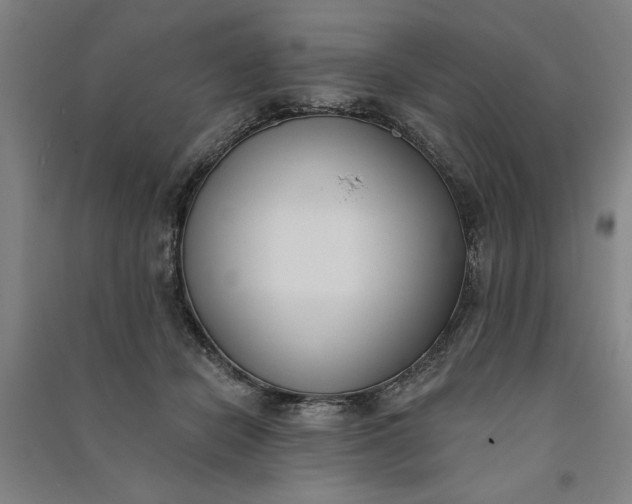 X0000091070462200708201413