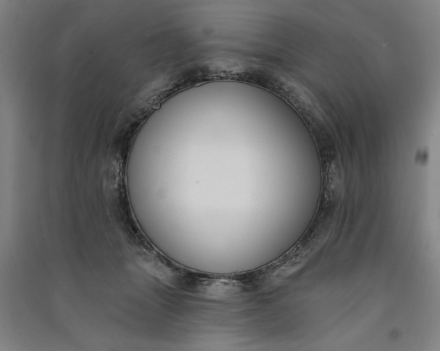 X0000091070463200708201413