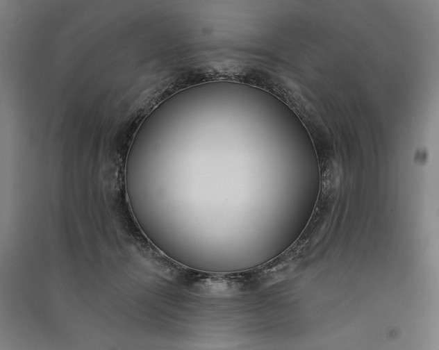 X0000091070464200708201413