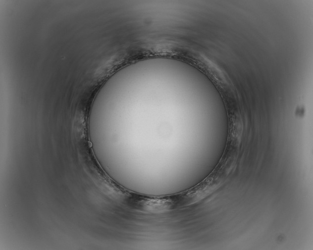 X0000091070465200708201413