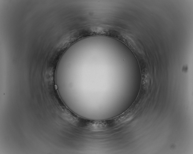 X0000091070466200708201413