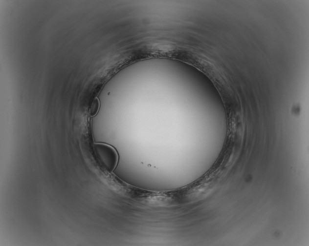 X0000091070468200708201413